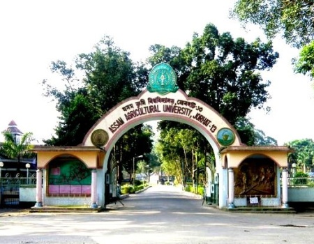 aau