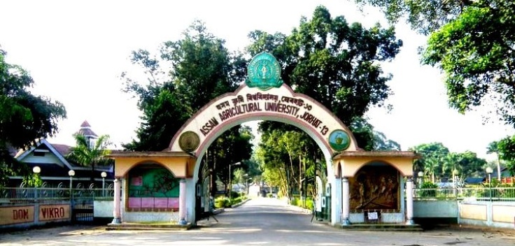 aau